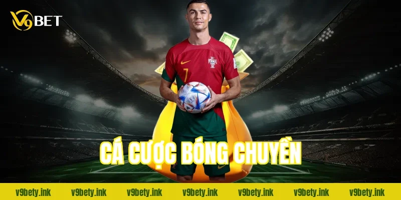 ca cuoc bong chuyen 993 2