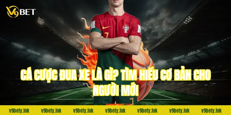 Cá cược đua xe là gì? Tìm hiểu cơ bản cho người mới