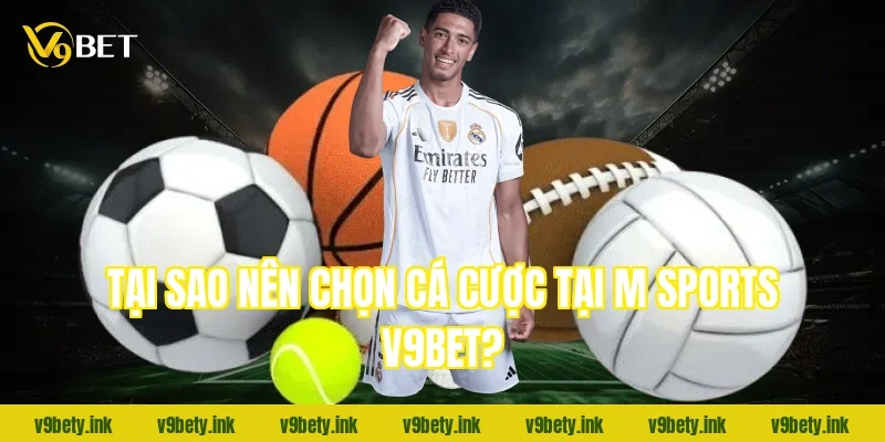 Tại sao nên chọn cá cược tại M Sports V9bet?