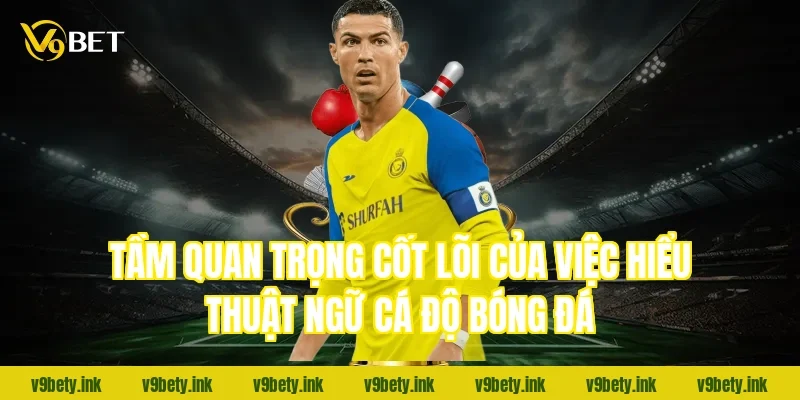 Tầm quan trọng cốt lõi của việc hiểu thuật ngữ cá độ bóng đá